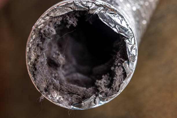 Best Air Duct Cleaning Near Me  in Guthrie, KY